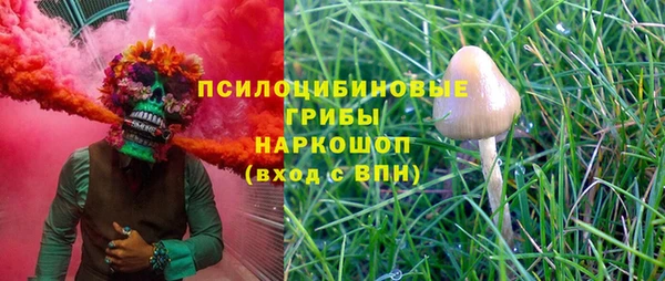 СК Белокуриха