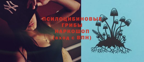 соль ск Богданович
