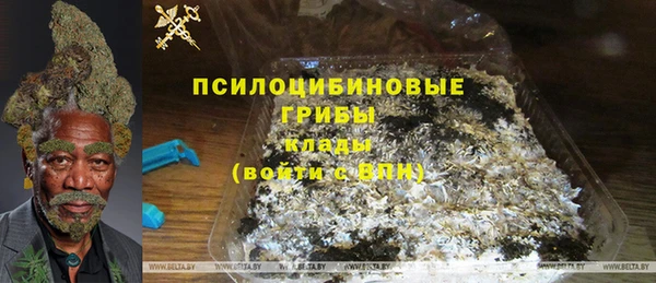 соль ск Богданович