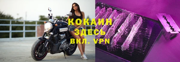соль ск Богданович