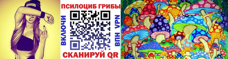 цена   Свободный  Галлюциногенные грибы Magic Shrooms 
